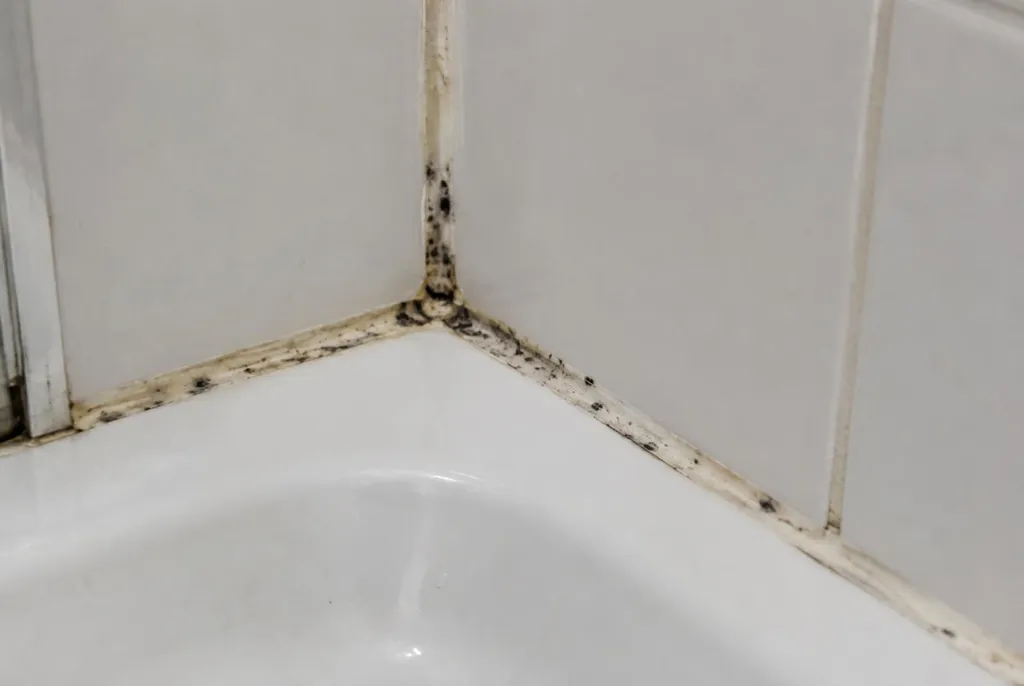 Kitbedrijf Elst – beschimmelde kitranden